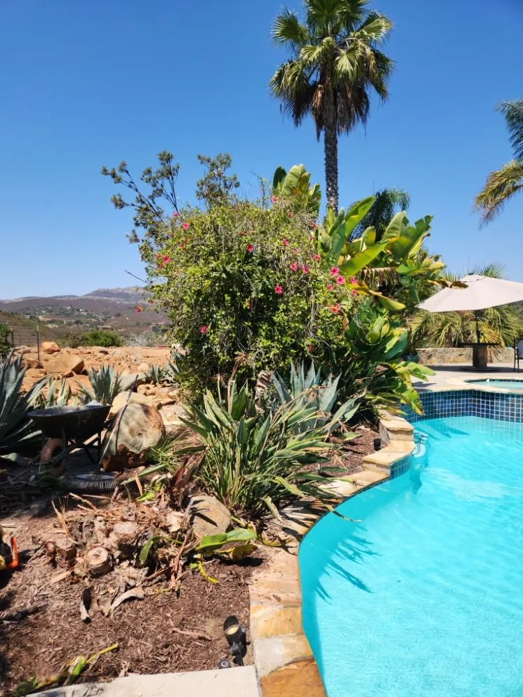 Affordable lawn care service experts serving Escondido, CA - Full Circle Tree Service