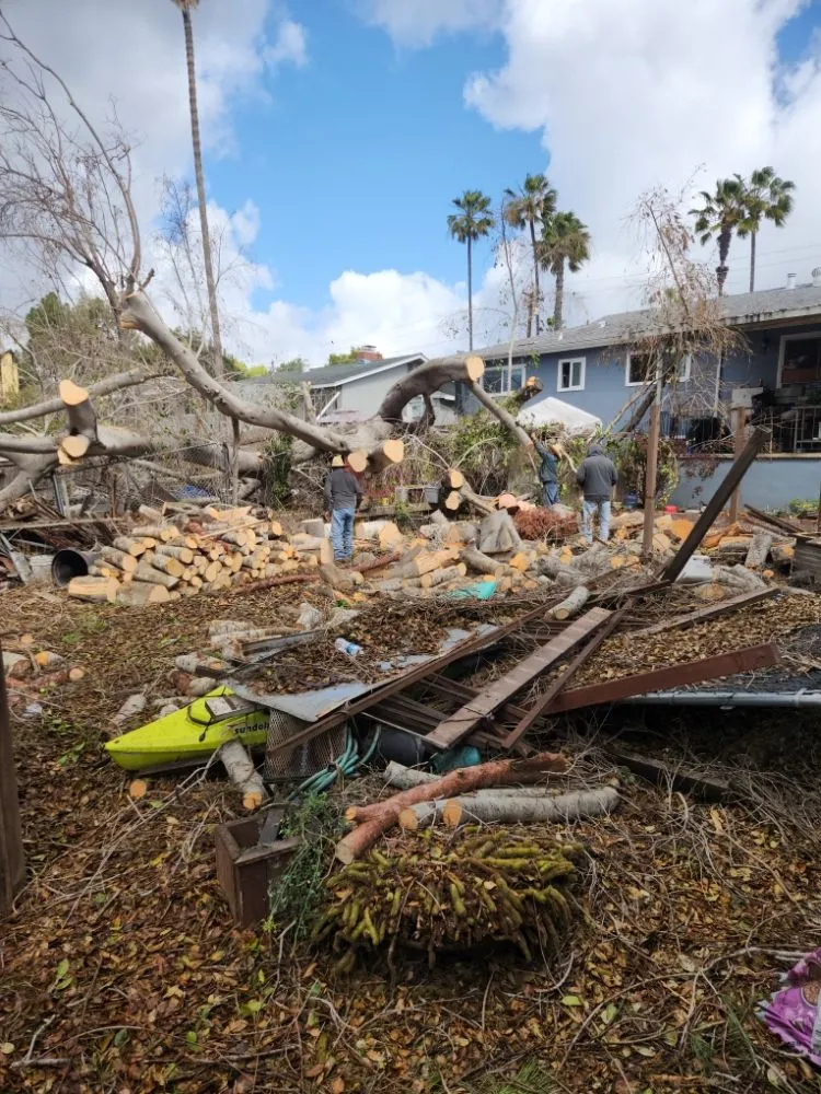 Trusted garden landscaping for outdoor upgrades in Escondido, CA by Full Circle Tree Service