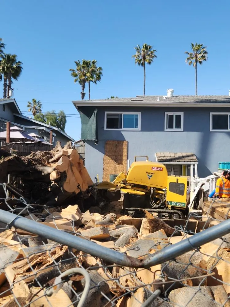 Top-rated outdoor landscaping in Escondido, CA by Full Circle Tree Service