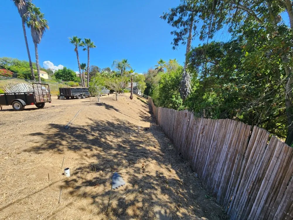 Reliable yard maintenance in Escondido, CA - Full Circle Tree Service