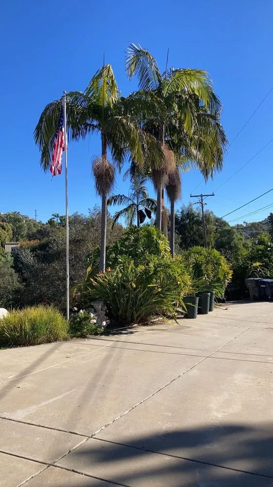 Custom landscaping services with custom design in Escondido, CA by Full Circle Tree Service