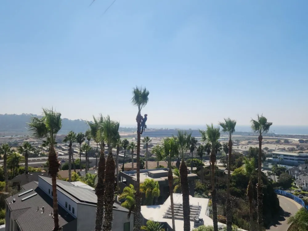 Local garden landscaping in Escondido, CA - Full Circle Tree Service