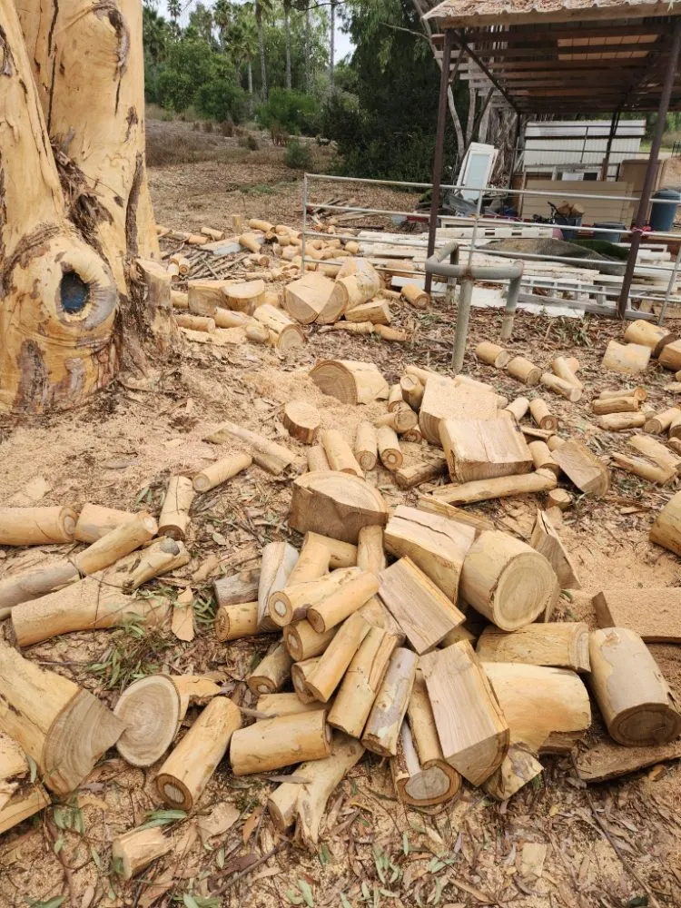 Trusted residential landscaping in Escondido, CA - Full Circle Tree Service