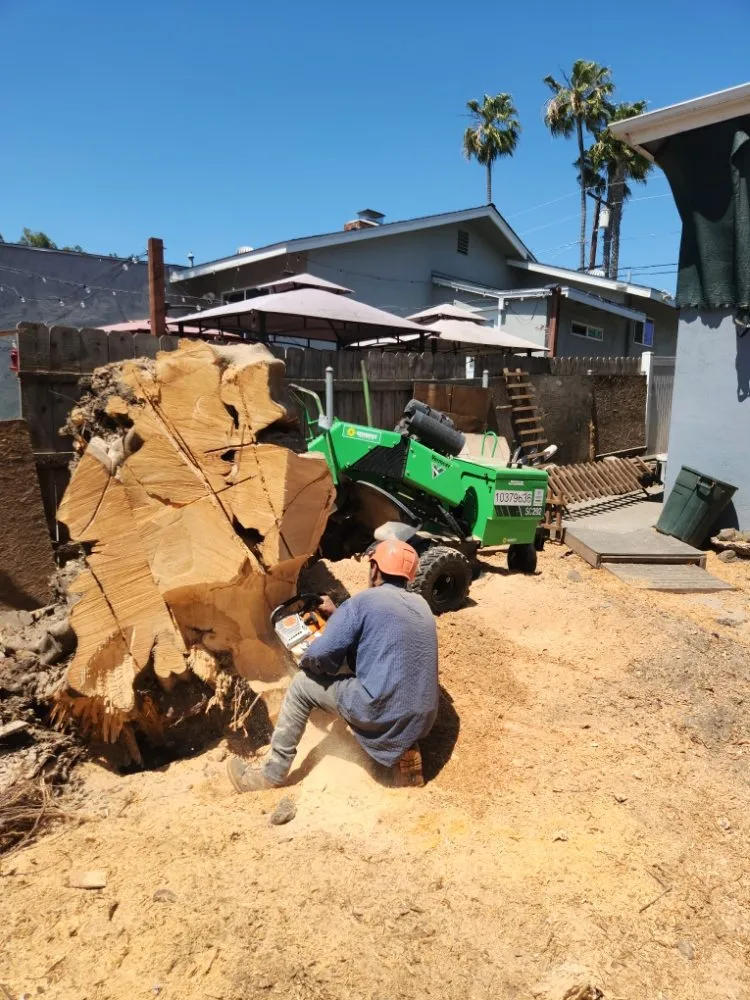 Top-rated residential landscaping in Escondido, CA by Full Circle Tree Service