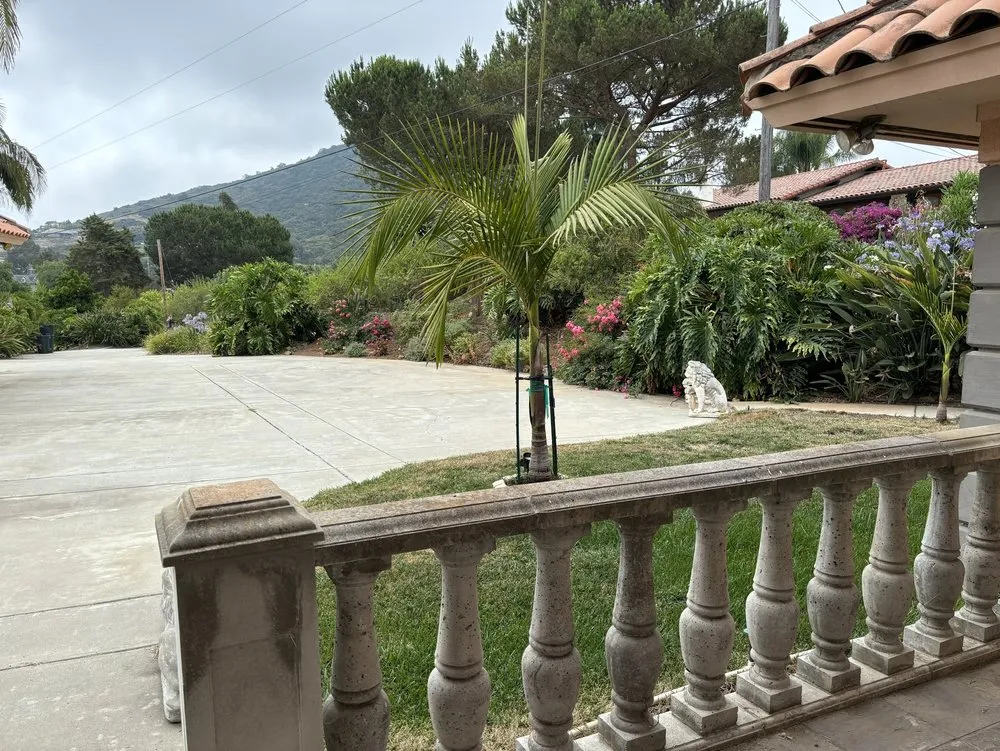 Reliable yard cleanup service for beautiful yards in Escondido, CA by Full Circle Tree Service