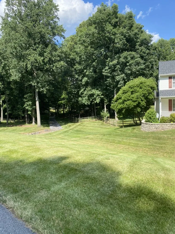 Expert yard maintenance in Frederick, MD - Full Clip Lawn Care