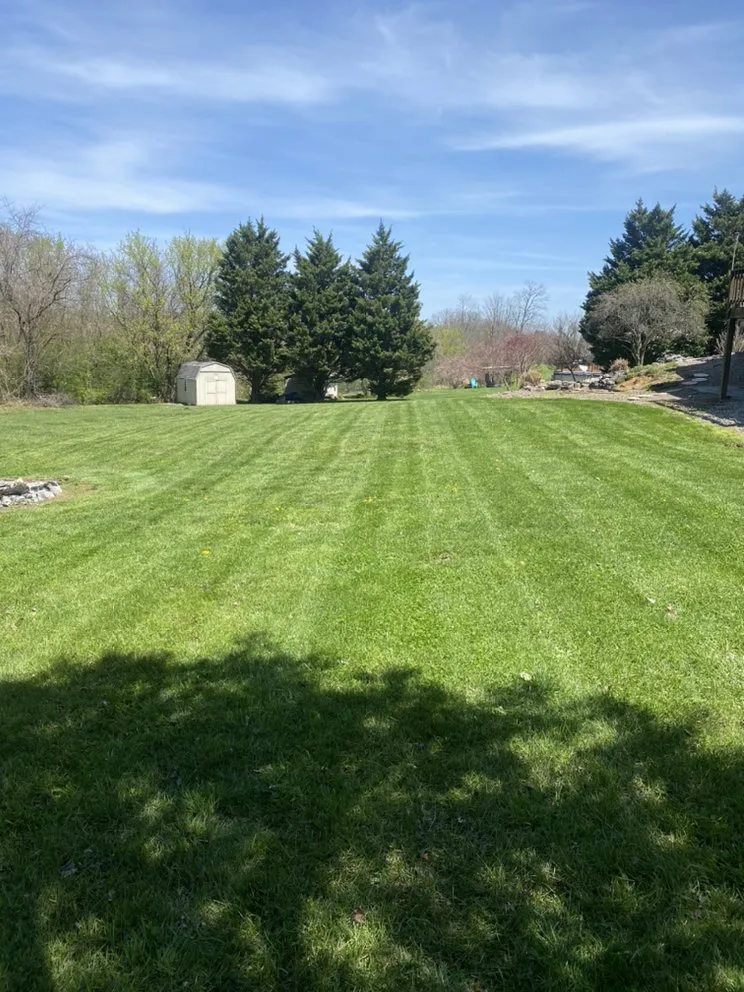 Expert yard cleanup service for residential properties across Frederick, MD - Full Clip Lawn Care