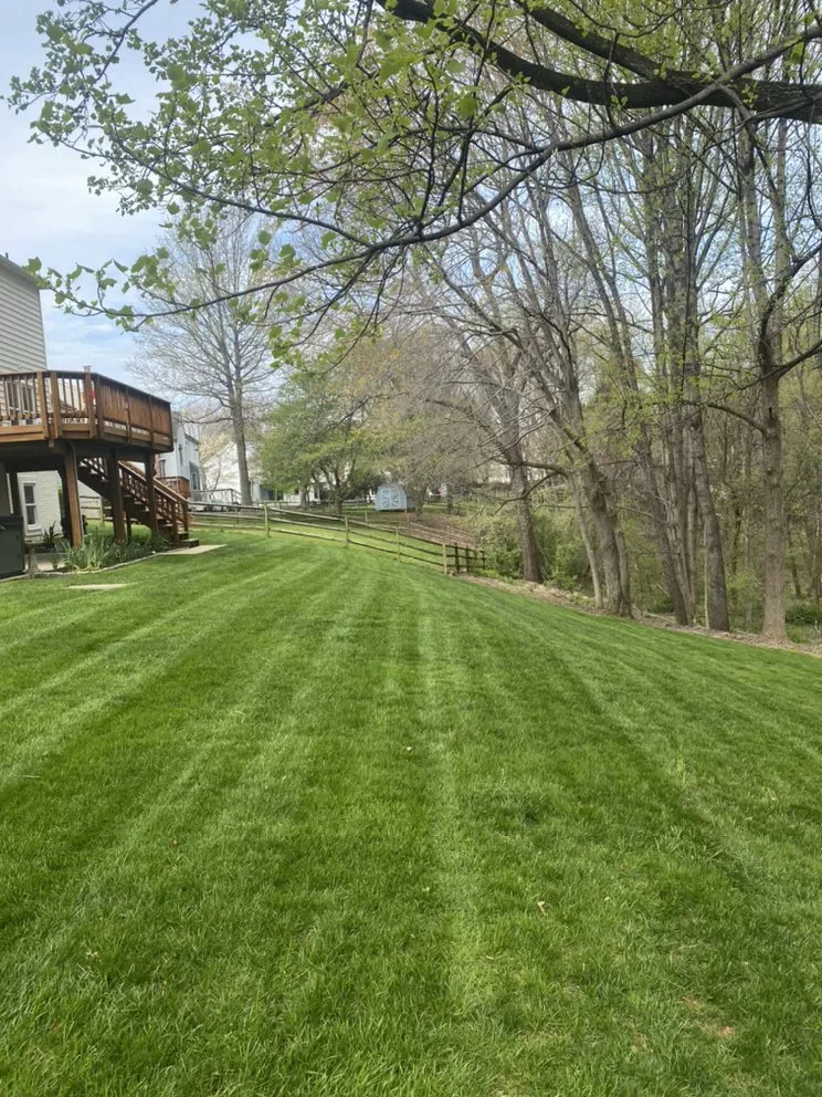Custom yard cleanup service in Frederick, MD - Full Clip Lawn Care