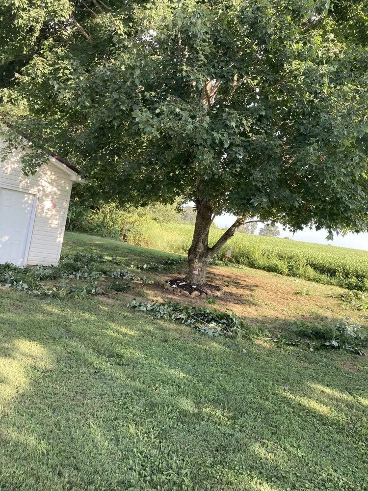 Top-rated yard maintenance with custom design across Manchester, TN - Full Dedication Services