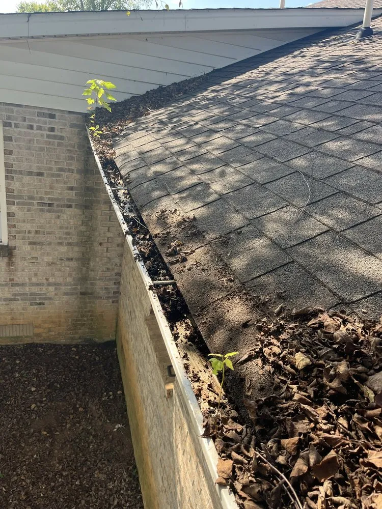 Expert landscaping services in Manchester, TN by Full Dedication Services