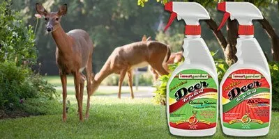 Expert yard cleanup service near you across Smithville, MO - Full Features Landscape & Garden Center