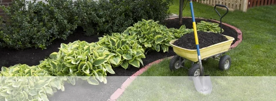 Top-rated landscape installation for year-round maintenance across Stony Point, NY - Full Force Landscaping