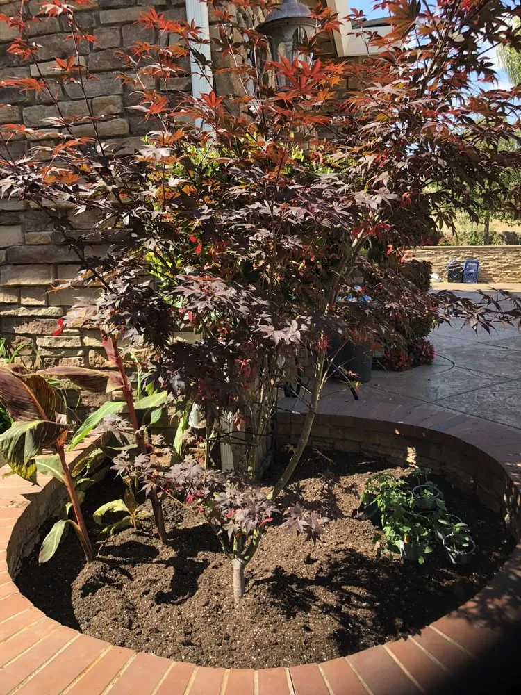 Top-rated landscape installation in Burlingame, CA - Full Gardening Services