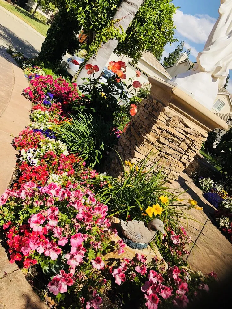 Expert landscaping services in Burlingame, CA by Full Gardening Services