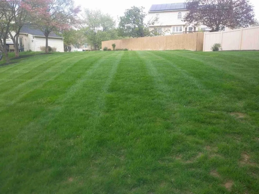 Reliable landscaping services in Upper Marlboro, MD - Full Green Landscaping