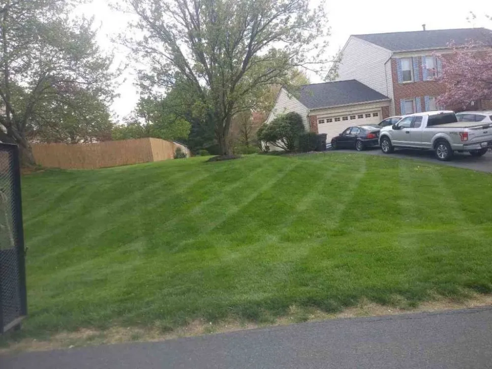 Custom yard cleanup service for beautiful yards across Upper Marlboro, MD - Full Green Landscaping