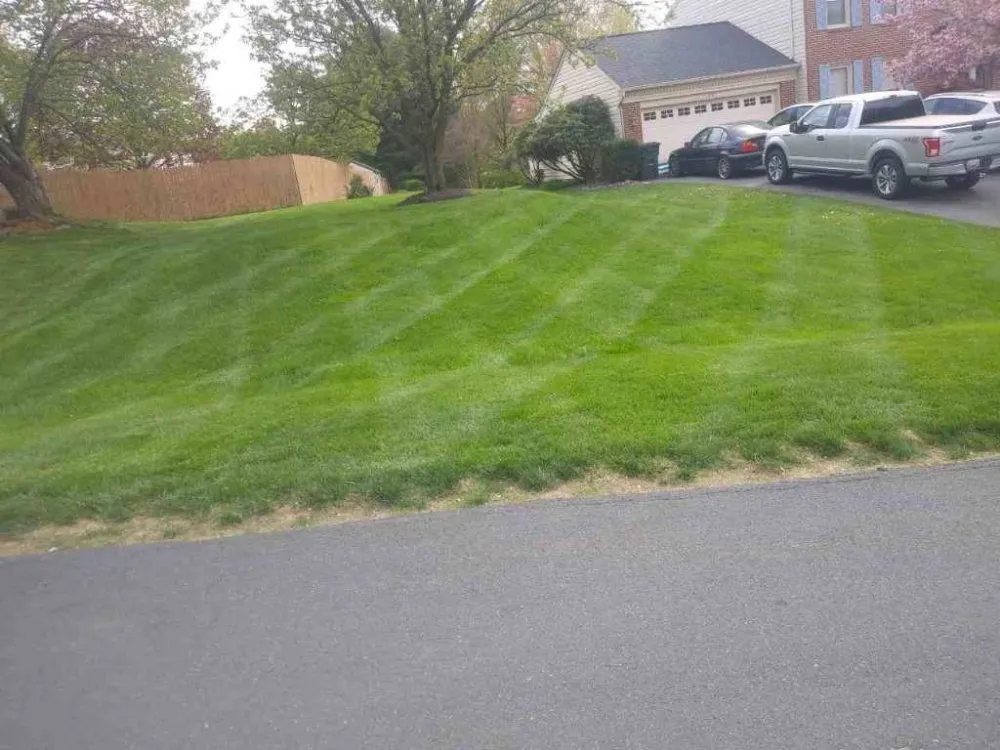 Expert lawn care service in Upper Marlboro, MD - Full Green Landscaping