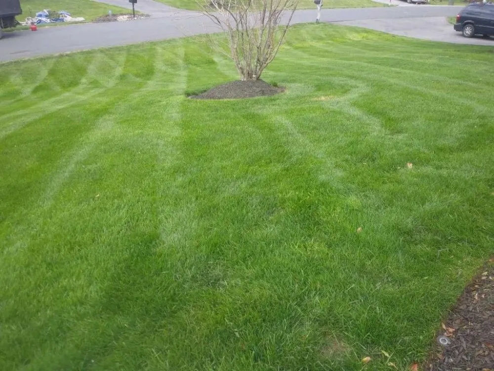 Professional yard maintenance in Upper Marlboro, MD - Full Green Landscaping