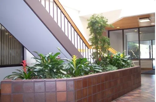 Expert yard cleanup service in Goffstown, NH - Full Grown Plants