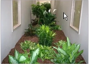 Trusted landscape installation near you in Goffstown, NH by Full Grown Plants