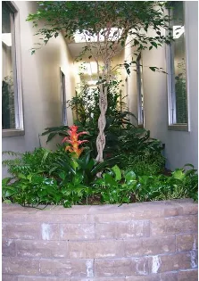 Trusted landscaping services for year-round maintenance across Goffstown, NH - Full Grown Plants