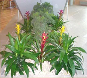 Trusted landscaping services in Goffstown, NH by Full Grown Plants