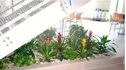 Local lawn care service in Goffstown, NH - Full Grown Plants