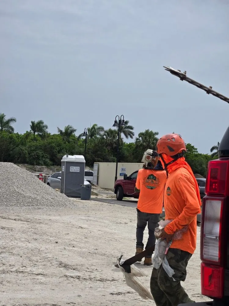 Professional landscape design in Jupiter, FL - Full Height Tree Services