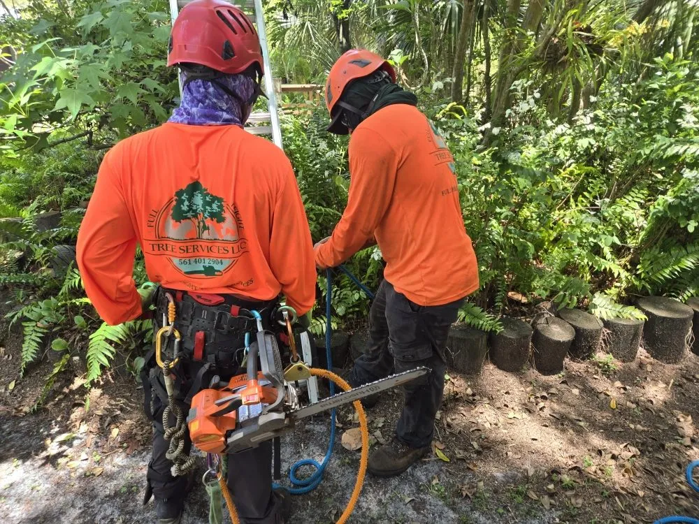 Top-rated garden landscaping experts serving Jupiter, FL - Full Height Tree Services