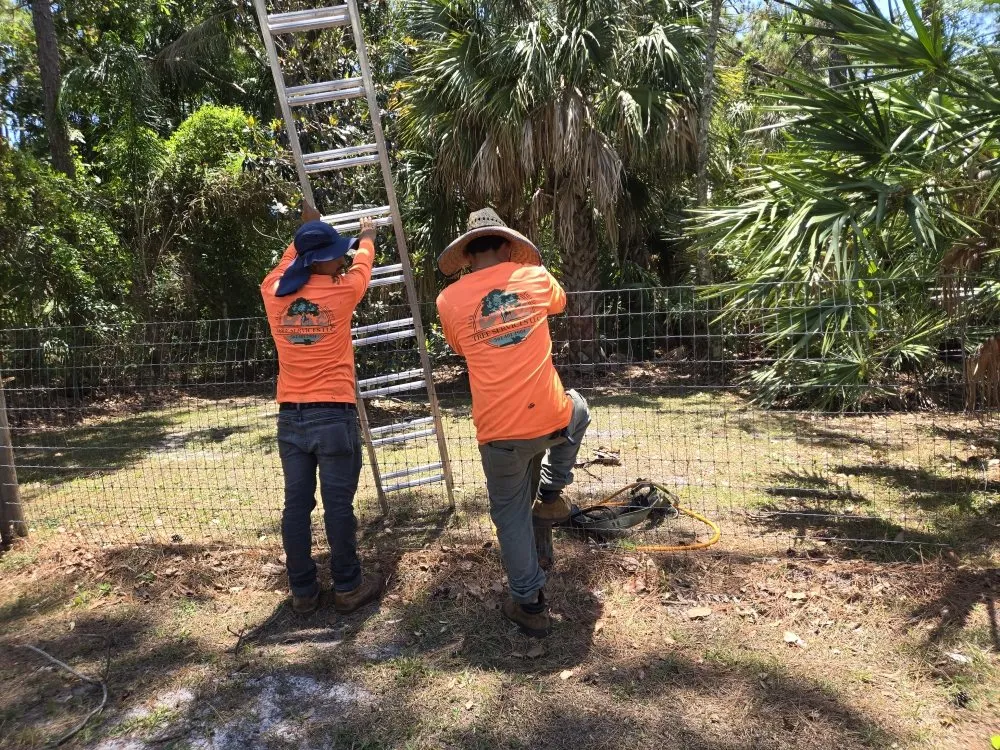 Professional yard maintenance in Jupiter, FL by Full Height Tree Services