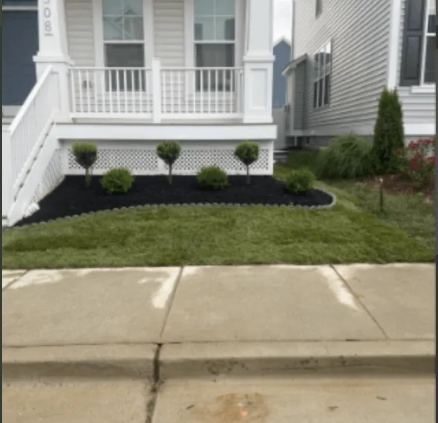 Expert yard cleanup service in Annapolis, MD by Full Landscaping Services