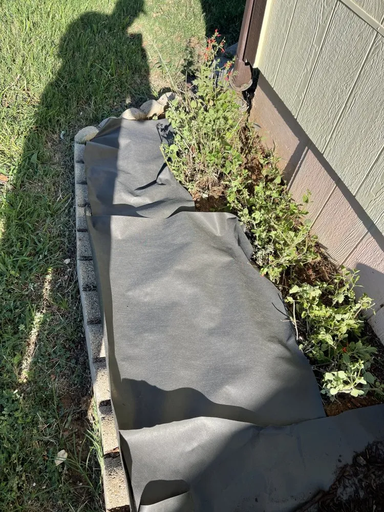 Reliable yard maintenance in Azle, TX - Full lawn service care