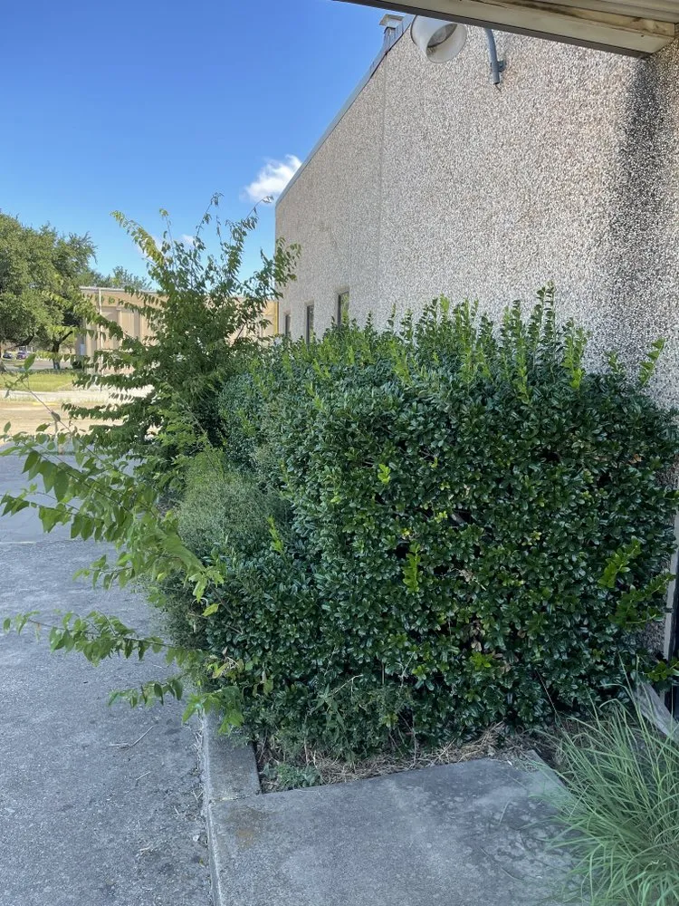 Local lawn care service experts serving Azle, TX - Full lawn service care