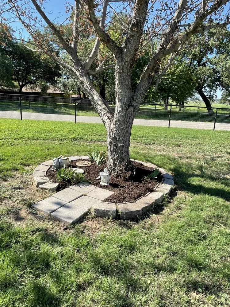 Trusted landscape design with custom design across Azle, TX - Full lawn service care