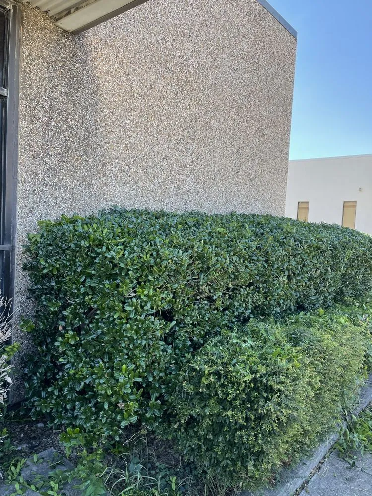 Local landscaping services for homes in Azle, TX by Full lawn service care