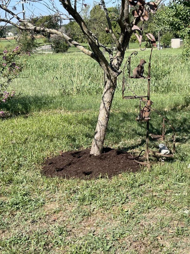 Trusted lawn care service in Azle, TX - Full lawn service care