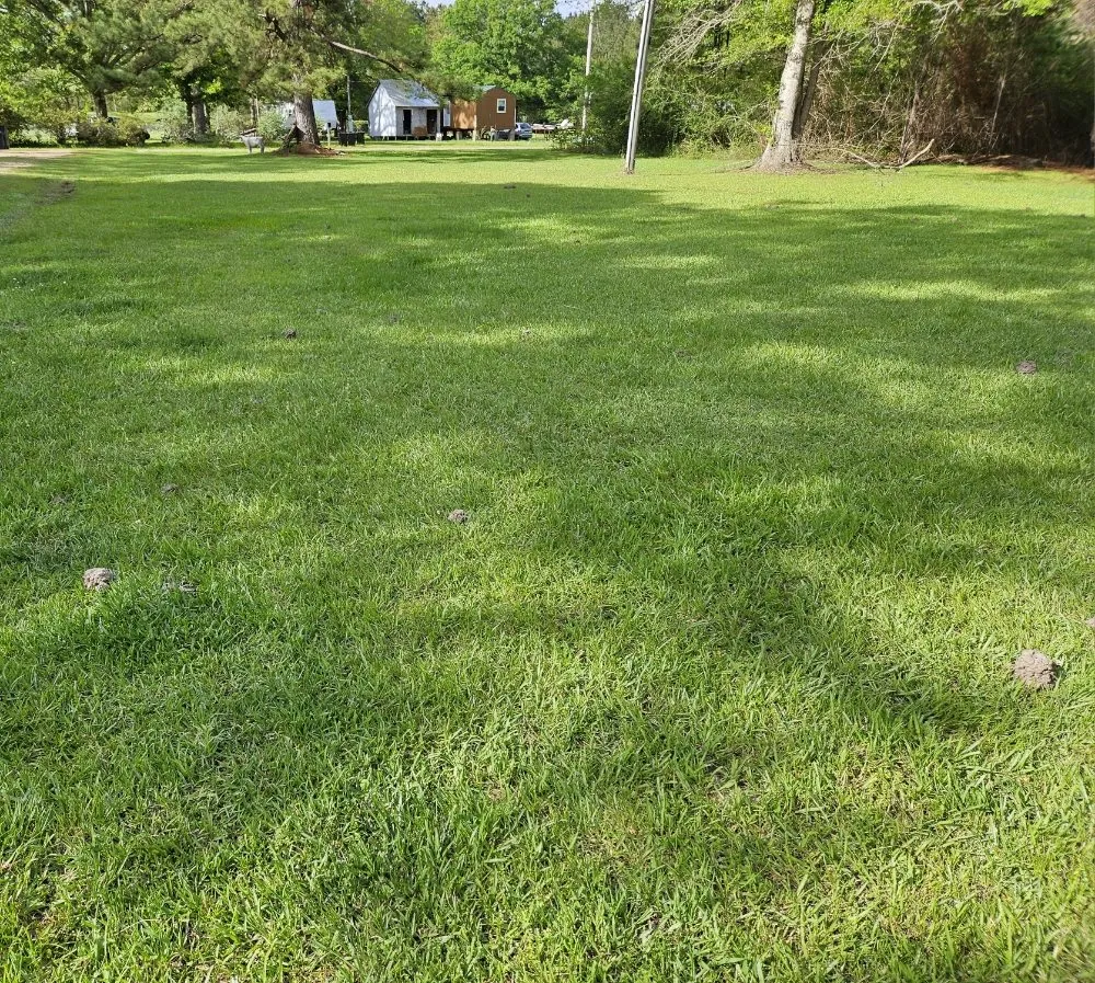 Expert yard maintenance experts serving Poplarville, MS - Full of Faith Lawn Care