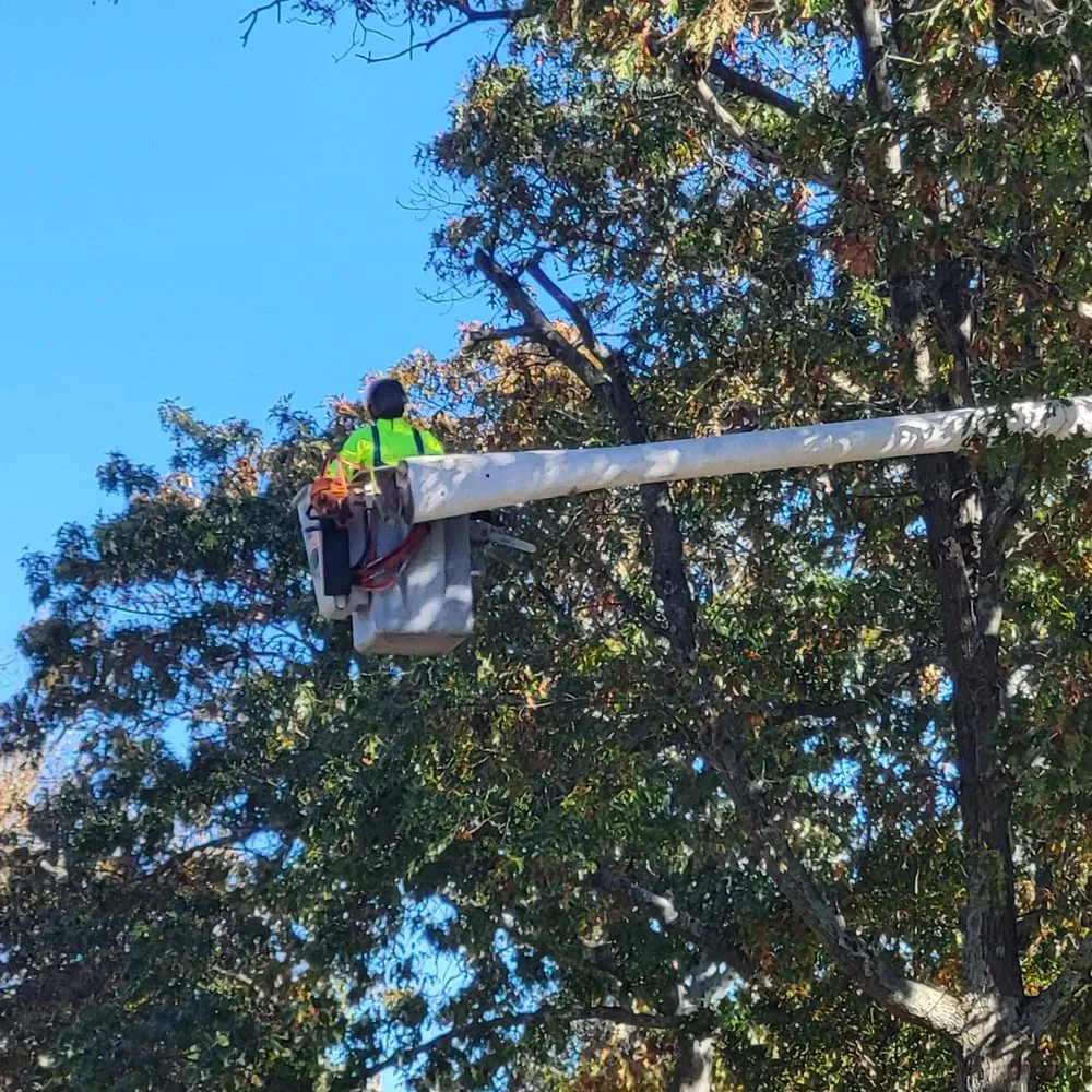 Affordable landscape installation with custom design across Lakewood, NJ - Full Season Lawn Landscape & Tree Services