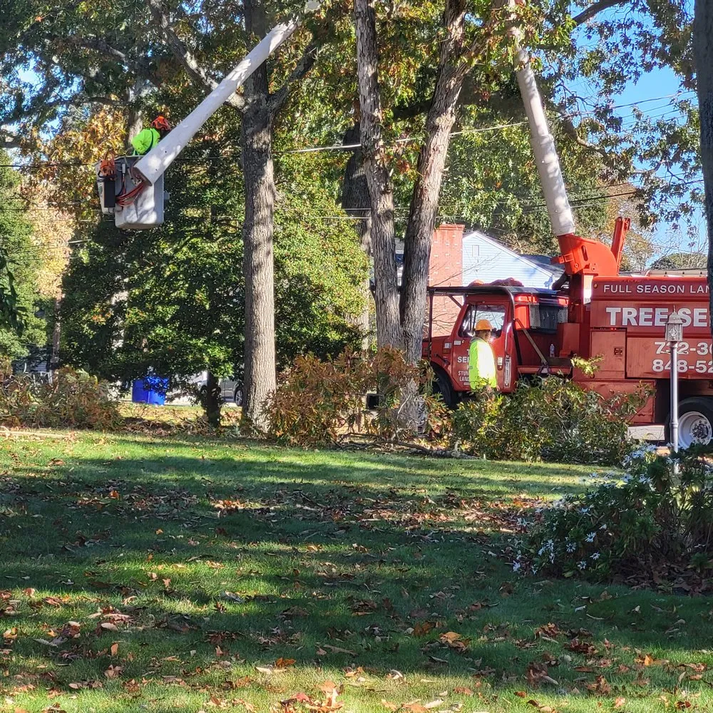 Affordable landscape design for outdoor upgrades in Lakewood, NJ by Full Season Lawn Landscape & Tree Services