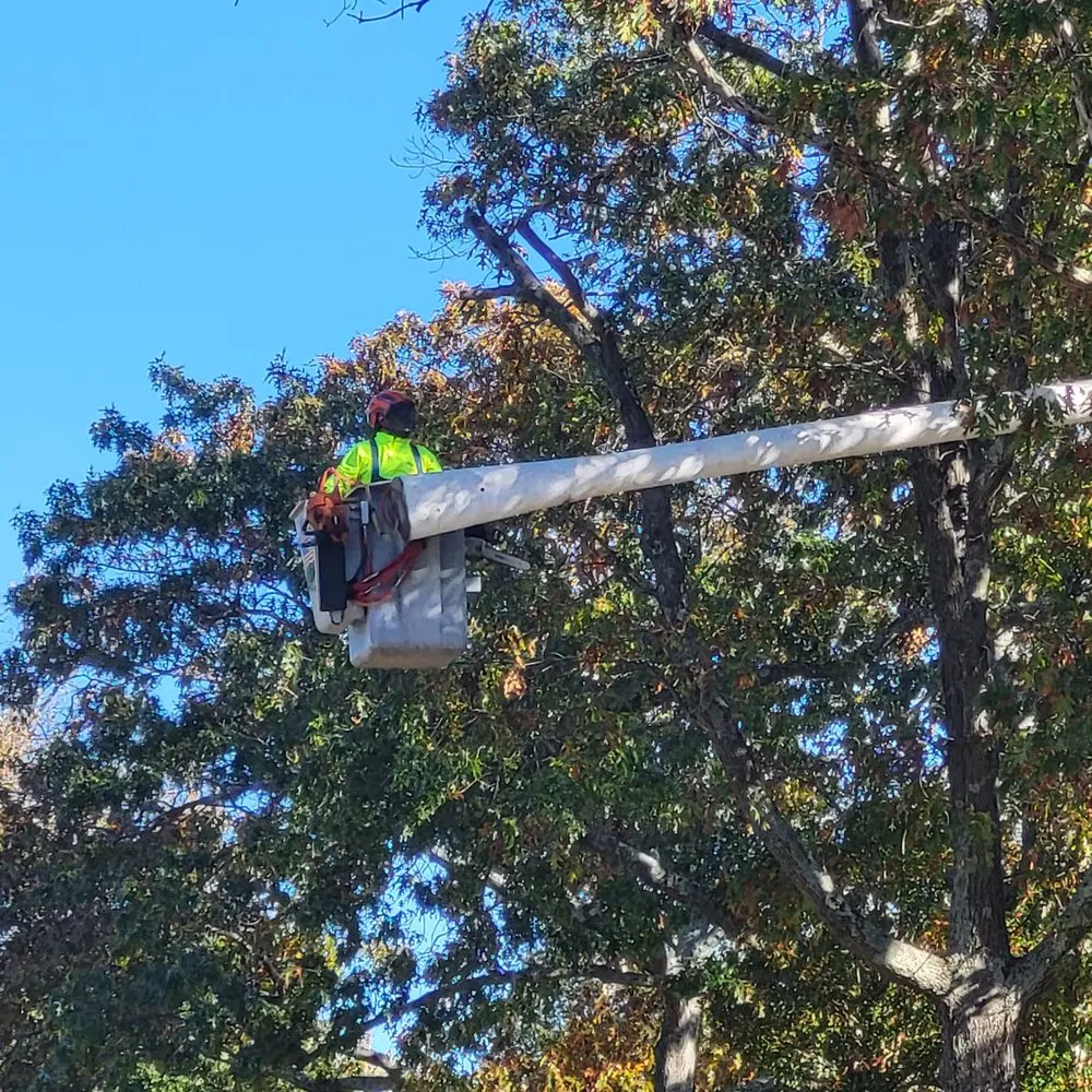 Affordable lawn mowing service for year-round maintenance across Lakewood, NJ - Full Season Lawn Landscape & Tree Services