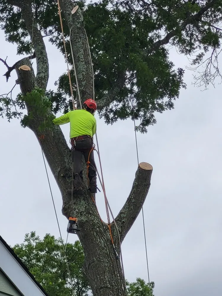 Professional landscaping services near you in Lakewood, NJ by Full Season Lawn Landscape & Tree Services