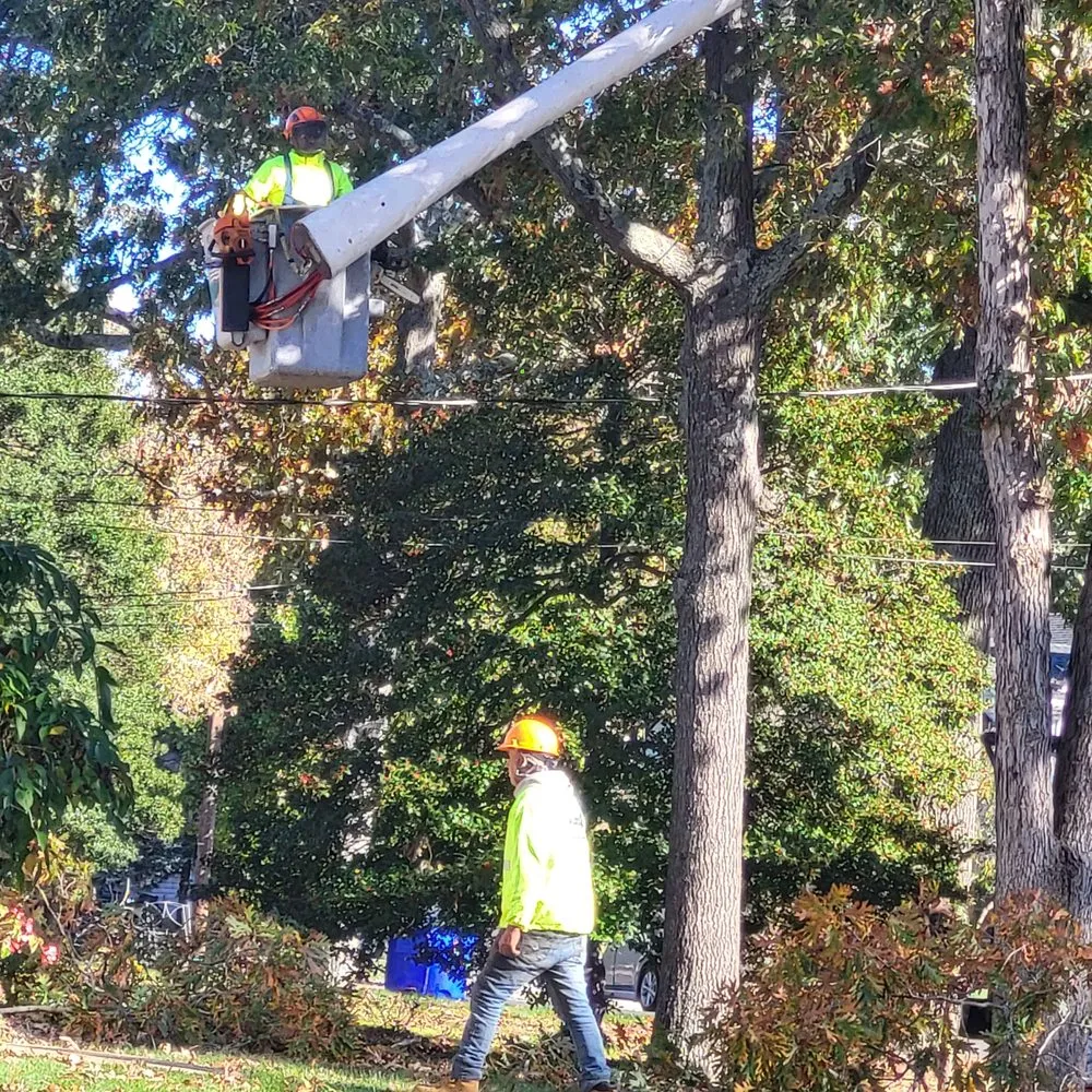 Trusted yard maintenance experts serving Lakewood, NJ - Full Season Lawn Landscape & Tree Services