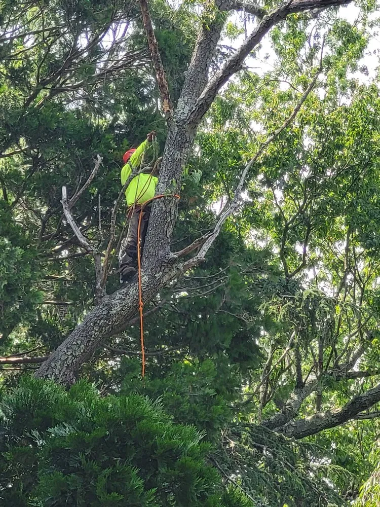 Affordable residential landscaping experts serving Lakewood, NJ - Full Season Lawn Landscape & Tree Services