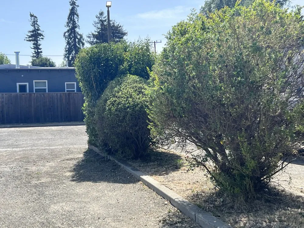 Top-rated landscaping services in Millbrae, CA by Full Seasons Services