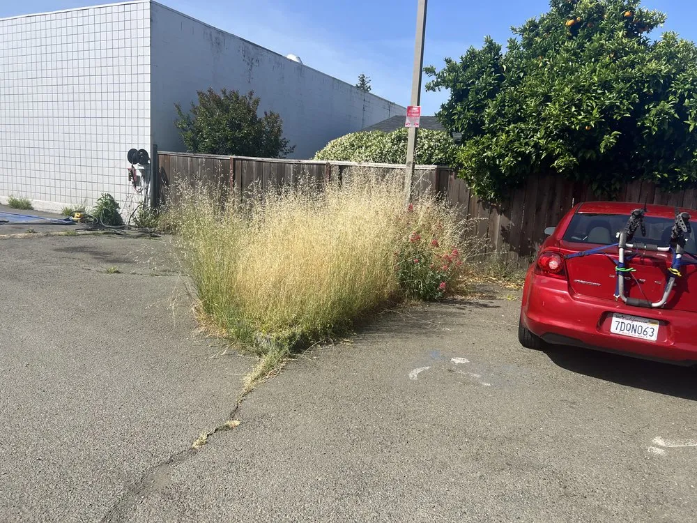 Expert outdoor landscaping experts serving Millbrae, CA - Full Seasons Services