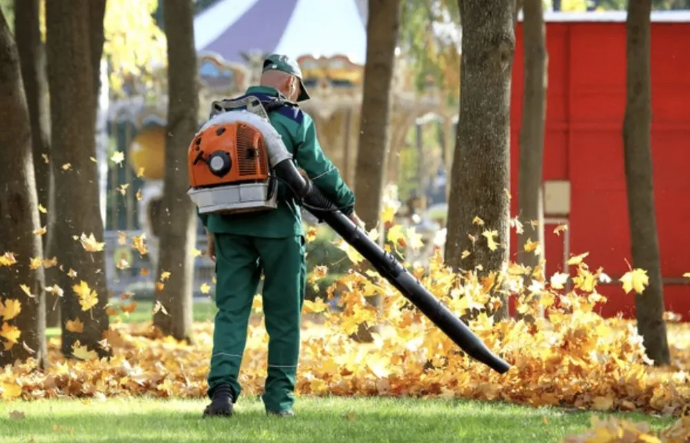 Affordable yard cleanup service in Millbrae, CA - Full Seasons Services