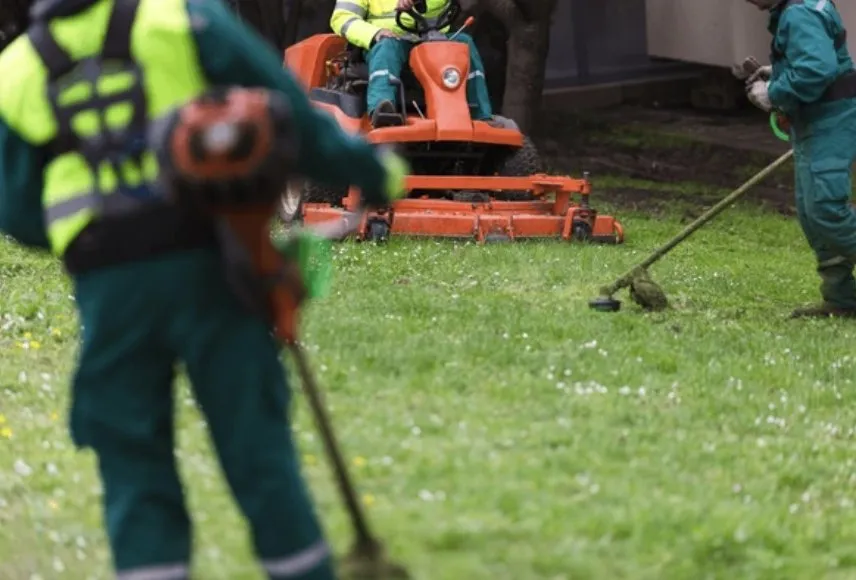 Expert landscape installation in Millbrae, CA by Full Seasons Services