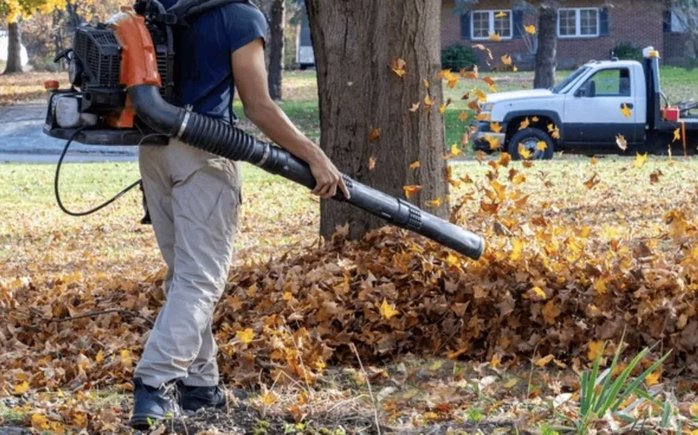 Expert landscape design in Millbrae, CA by Full Seasons Services