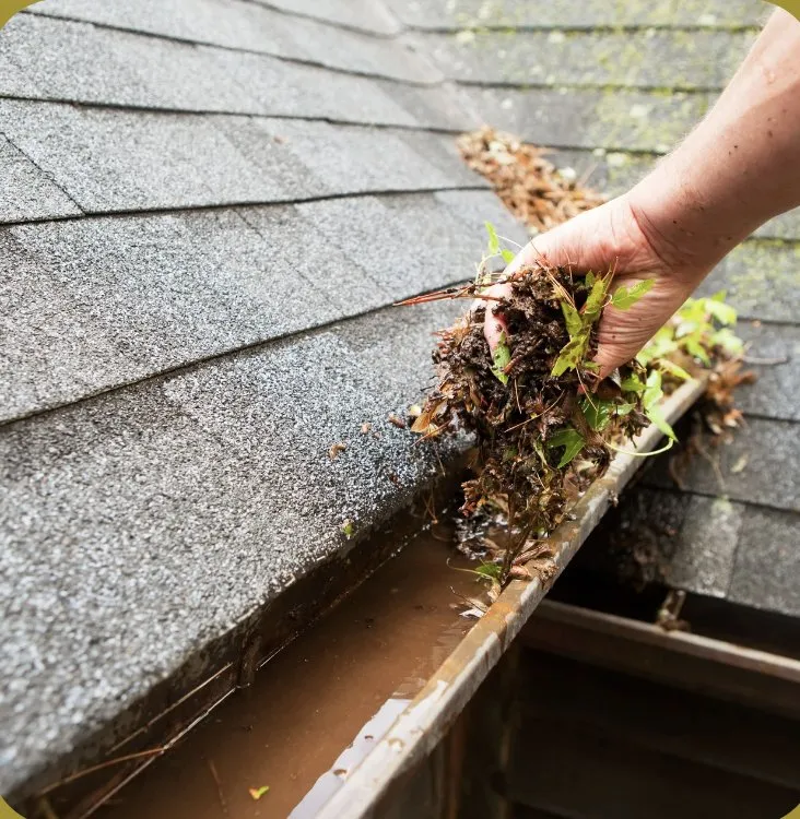 Affordable landscape design experts serving Millbrae, CA - Full Seasons Services