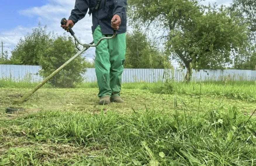 Expert lawn care service in Millbrae, CA by Full Seasons Services